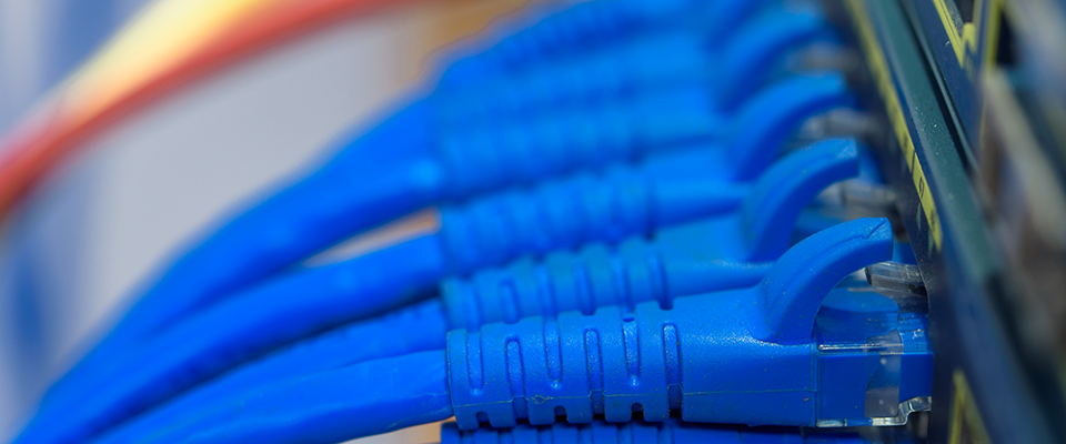 Close up of CAT5 cabling into network switch.